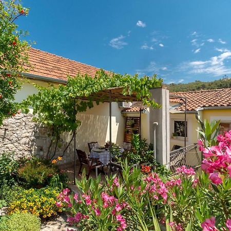 Mediterranean Terrace Apartment With Bikes & Sup Skradin Exteriör bild